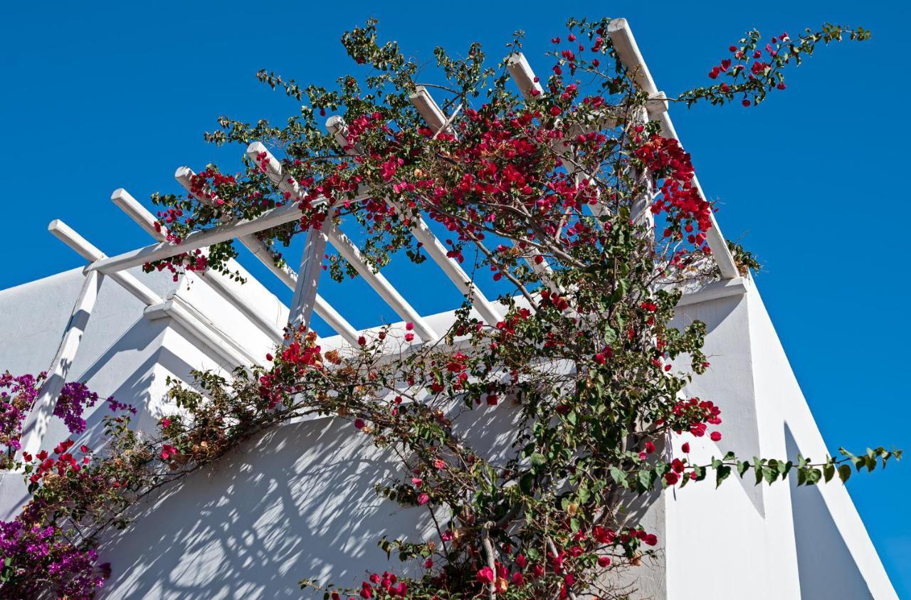 Casa Cozy Mykonos Town Exterior foto